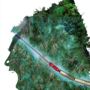 Train to Nowhere Book 2 Amazon Kindle Survival-0